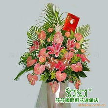 深圳市天元礼仪策划 - 鲜花产品列表 灵动花语，礼承心意
