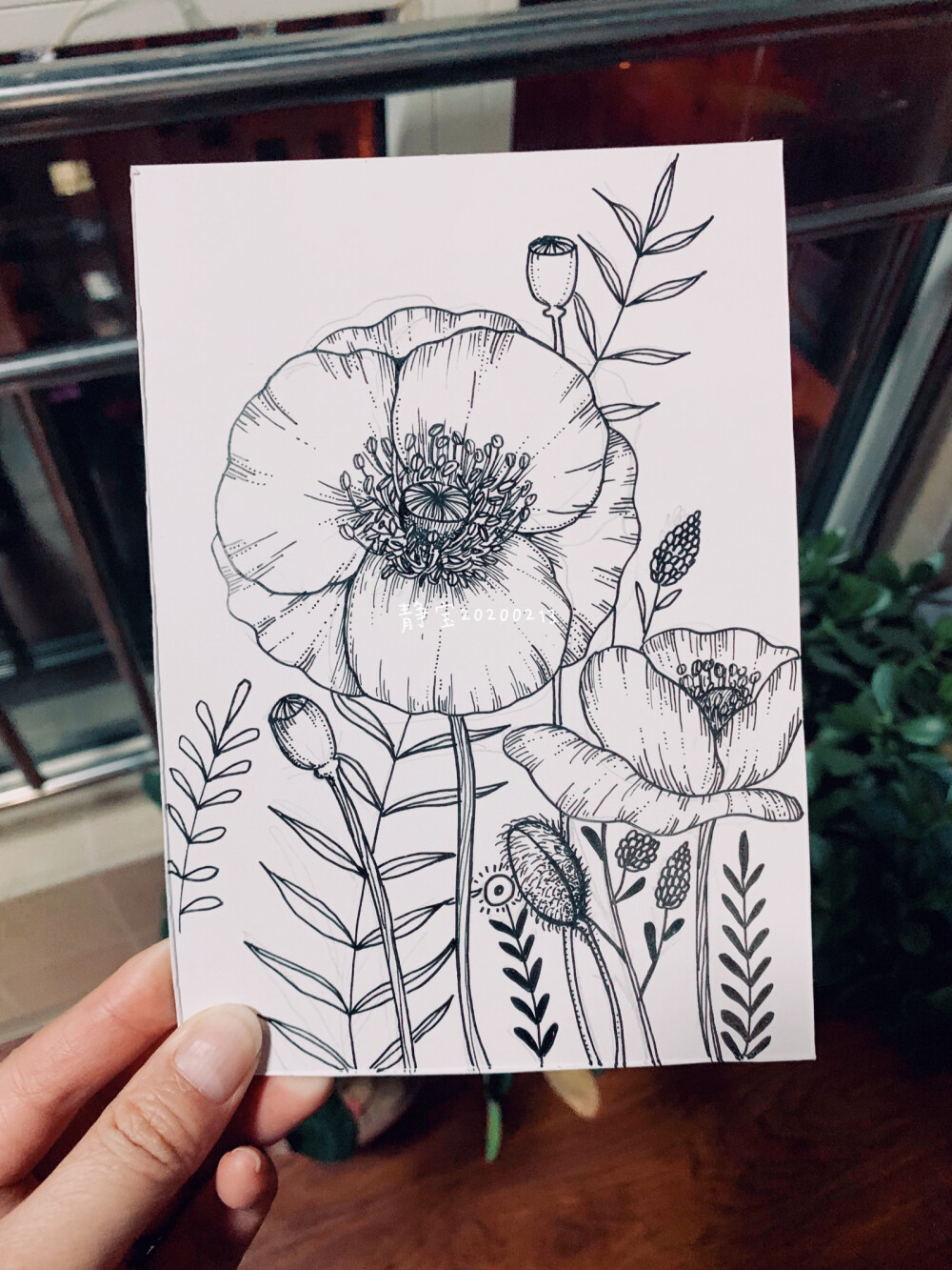 墨韵花间 黑白花卉插画的艺术魅力