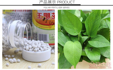 若澜叶面肥 厂家直销，花卉蔬菜通用营养液，提速增效的“花肥王”